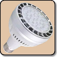 250W PAR30 Daylight LED Bulb