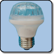 12VDC LED Light Bulb - 20W