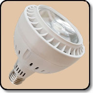 150W PAR30 Daylight LED Flood Bulb