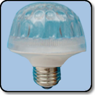 12VDC LED Light Bulb - 30W