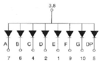 A picture containing white, table, sitting, large

Description automatically generated