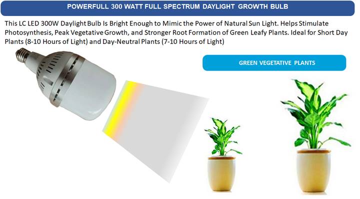 Text

Description automatically generated with low confidence