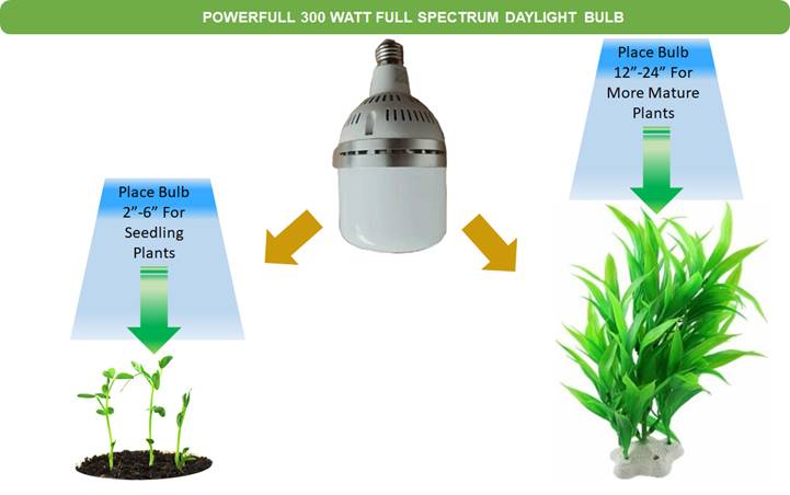 A picture containing diagram

Description automatically generated